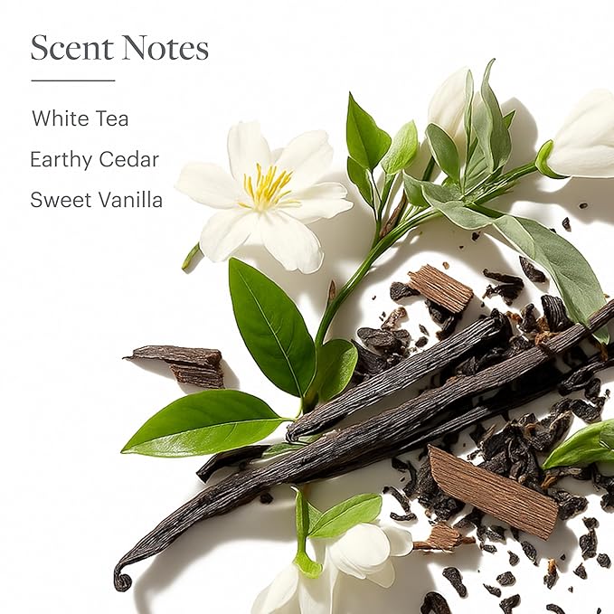 Westin White Tea Aloe Body Lotion | Hotel Spa Cream | Daily Hydration | Hand Lotion Pump | 8 oz Signature Scent Skin Moisturizer
