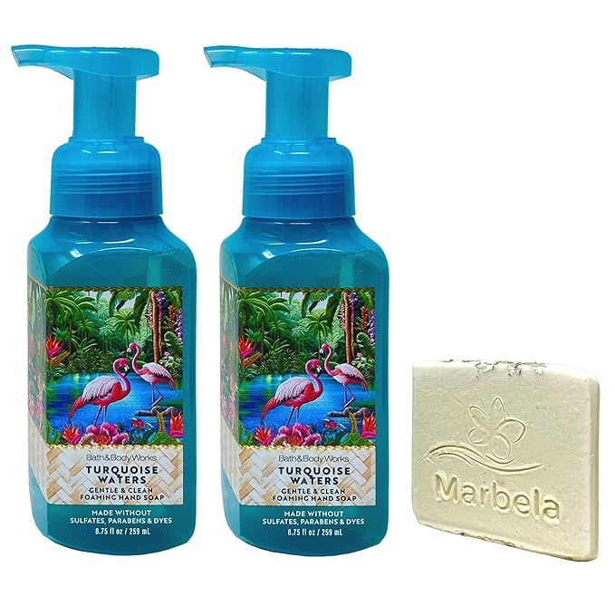 Bath & Body Works Turquoise Waters 2 Pack Gentle & Clean Foaming Hand Soap Bundle with a Natural Oats Sample Soap