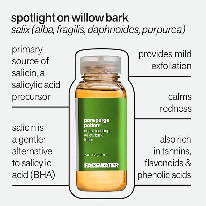 Facewater Pore Purge Potion Deep Cleansing Willow Bark Toner