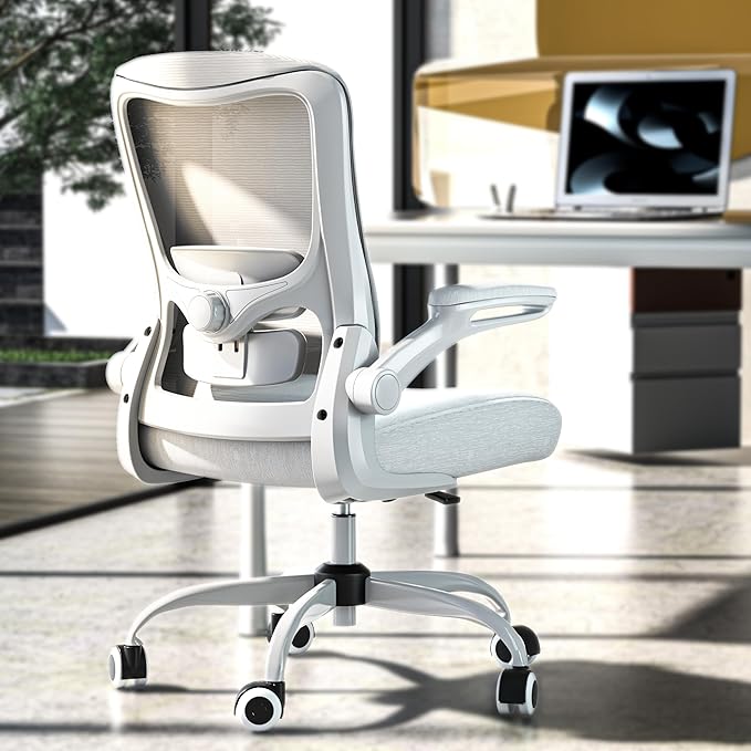 Ergonomic Office Chair - High Back Desk Chair with Adjustable Lumbar Support, Breathable Mesh Back, 330LBS Capacity, Easy Assembly, for Home Office Executive Computer Task