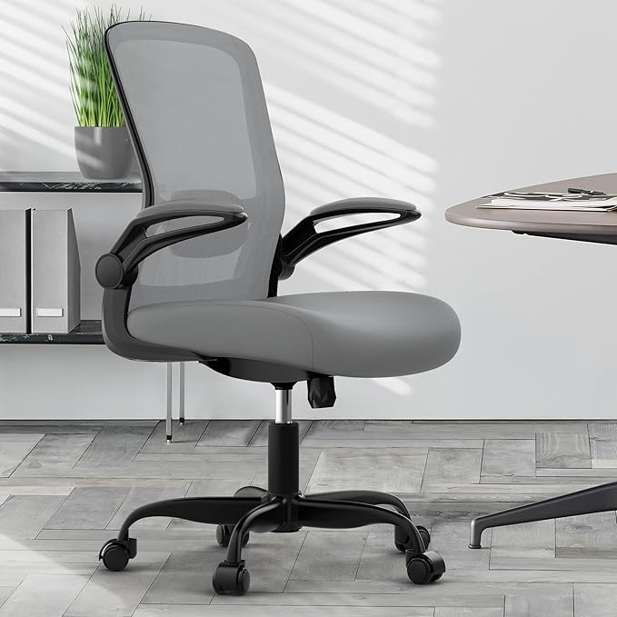 Mimoglad Home Office Desk Chair (Modern, Graphite)