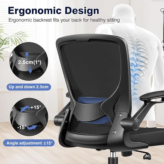Ergonomic Office Chair, Mesh Computer Chairs with Lumbar Support, Swivel Desk Chair with Flip-up Arms and Adjustable Height, Black Pack of 2