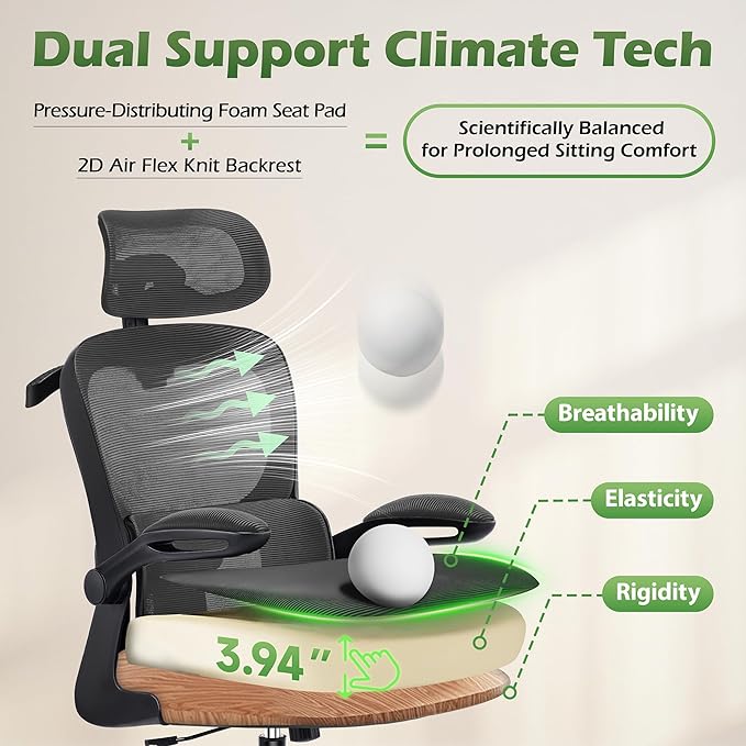 AreShark Office Chair Ergonomic Desk Chairs with Adjustable Lumbar Support& Headrest Hanger, High Back Breathable Mesh Chair with Wheels, Rolling Swivel Comfy Task Computer Chair for Home Work Gaming