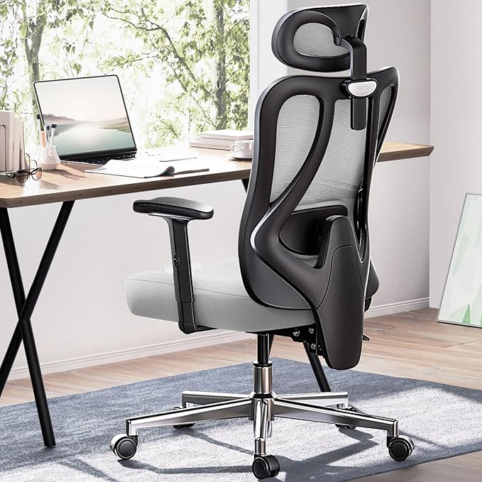 Hbada P3 Ergonnomic Office Chair with 2D Adjustable Lumbar Support, Office Chair with Adjustable Headrest and Armrest, 145° Stepless Tilt Function, Grey(No Footrest)