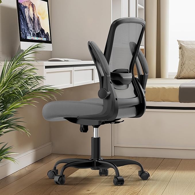 Mimoglad Home Office Desk Chair (Modern, Graphite)