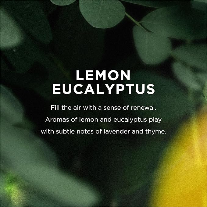 EO Liquid Hand Soap Refill, 1 Gallon, Lemon and Eucalyptus, made with Essential Oils for kitchen and bathroom