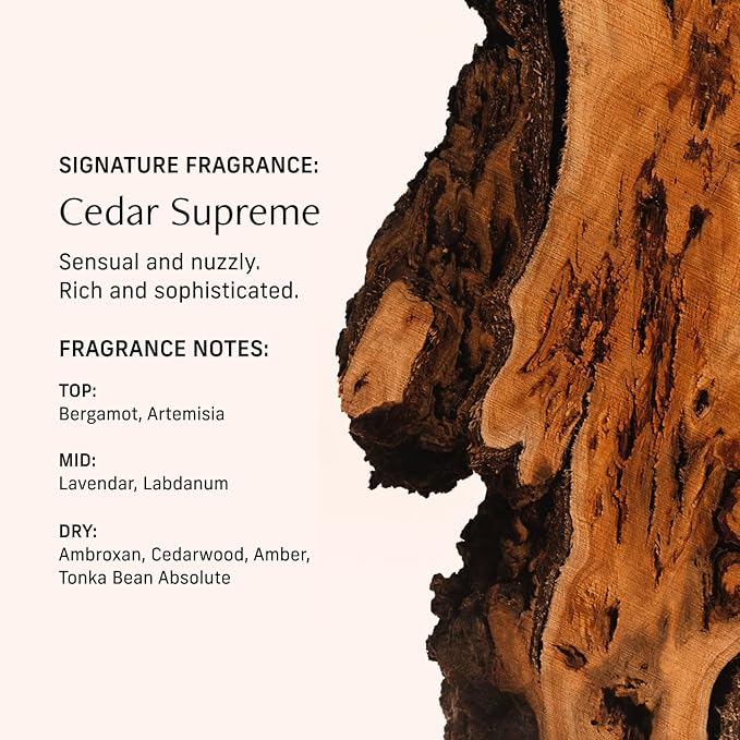 CYKLAR Perfume Oil for Skin – Cedar Supreme Scent – Crisp, Aromatic & Warm Perfume Fragrance with Bergamot, Lavender & Cedarwood Notes – 30ml
