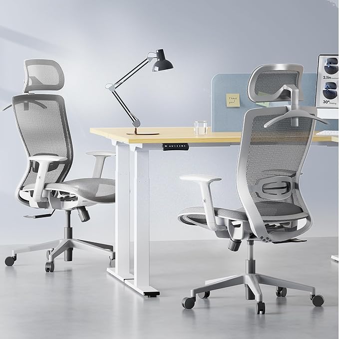 FLEXISPOT OC3 Air Ergonomic Office Chair High Back Computer Chair with Adjustable Lumbar Support/Armrest/, Breathable Mesh Seat Cushion Backrest, Chairs for Home Office Gaming Working, Light Gray