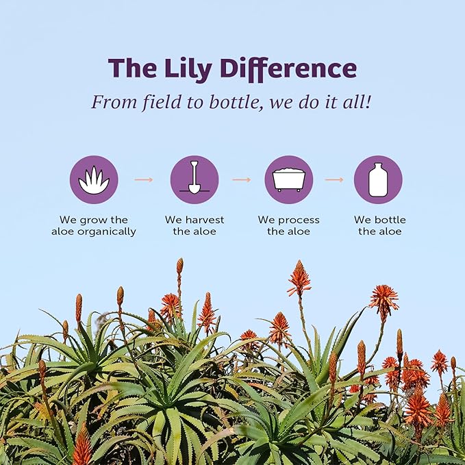 Lily Of The Desert Gelly Moisturizer 2-Pack – 99% Organic Aloe Vera Gel with Vitamin C, E, and A, After Sun Skin Care, Sunburn Relief, 4 Oz Each