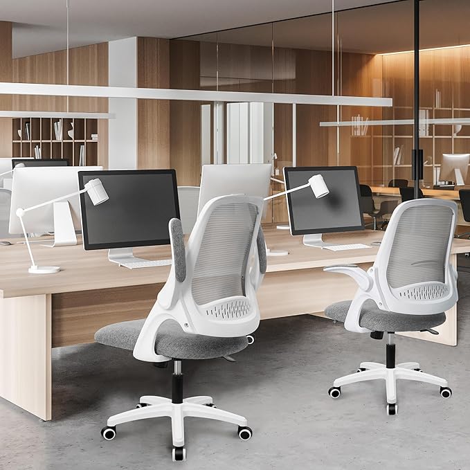 NEO CHAIR Office Desk Computer Gaming Ergonomic Chair with Lumbar Back Support Adjustable Height Swivel Wheels Flip-up Arms Mesh Chair for Home or Office (Grey)