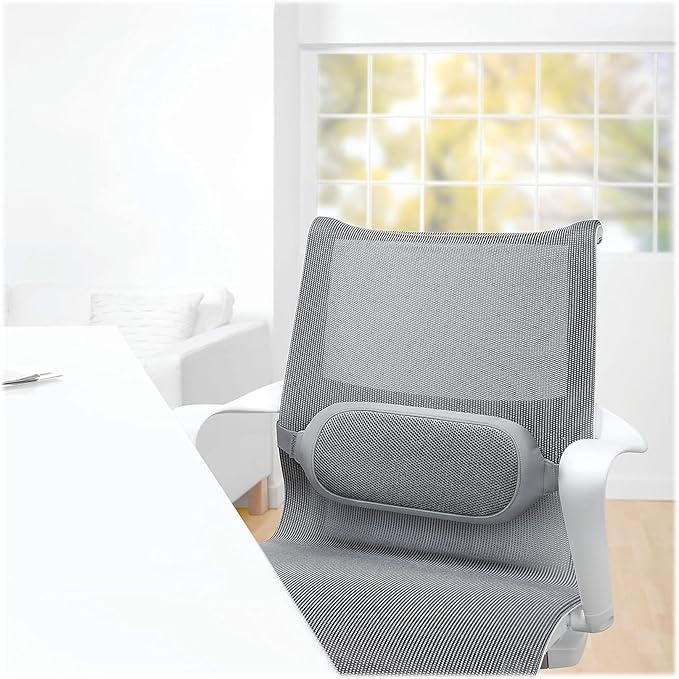 Fellowes 9311601 I-Spire Series Lumbar Cushion to Comfort Lower Back