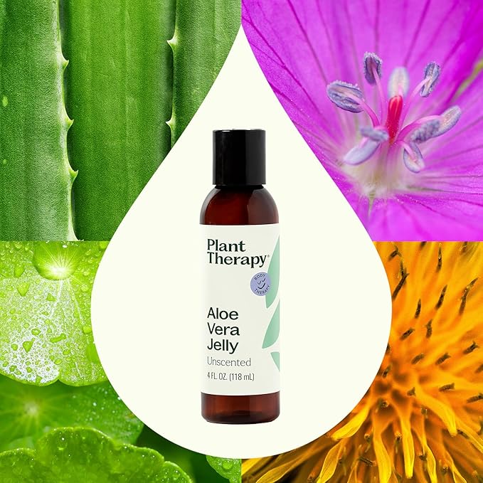 Plant Therapy Aloe Vera Jelly 4 oz, All Natural, Unscented Base, For All Skin Types, Soothe Dry, Irritated Skin, Essential Oil Dilution