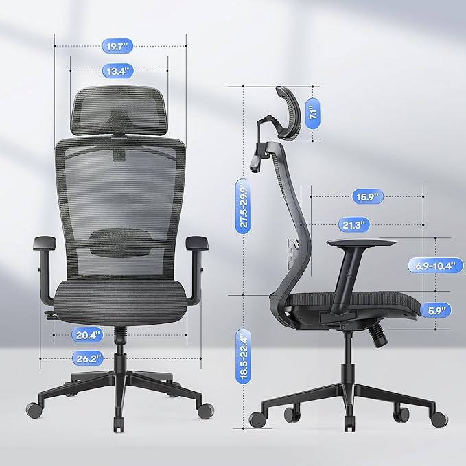 FLEXISPOT Classic Ergonomic Office Chair with High Back Swivel Computer Chair Executive Office Desk Chairs, with Lumbar Support/2D Headrest/Lockable Tilt Function, Foam Seat Cushion, Gray