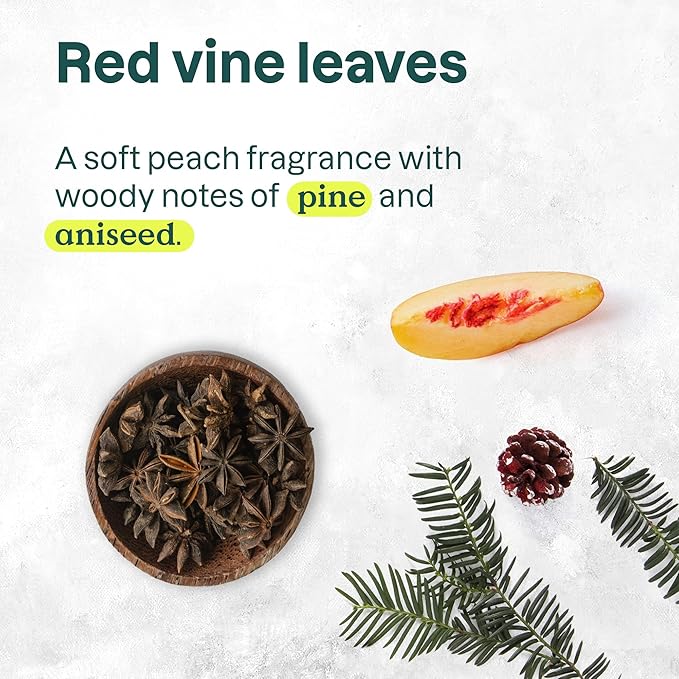 ATTITUDE Liquid Hand Soap, EWG Verified, Plant and Mineral-Based, Vegan Personal Care Products, Red Vine Leaves, 16 Fl Oz