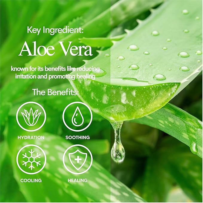 Innerest Luna Bunny 24PK Facial Sheet Mask, Brightening, Nourishing & Hydrating Korean Skincare for Self Care, Home Spa with Aloe, Coconut, Vitamin & Hyaluronic (Aloe Vera)
