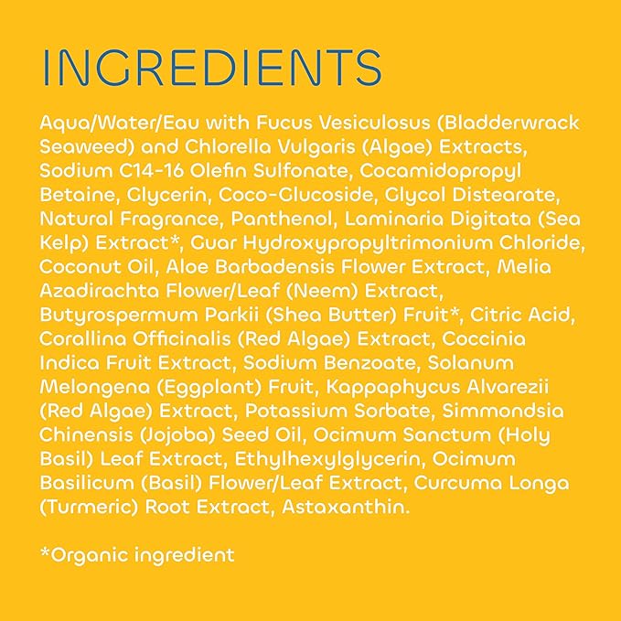 SEAWEED BATH CO Creamy Coconut 3-1 Body Wash, 30 FZ