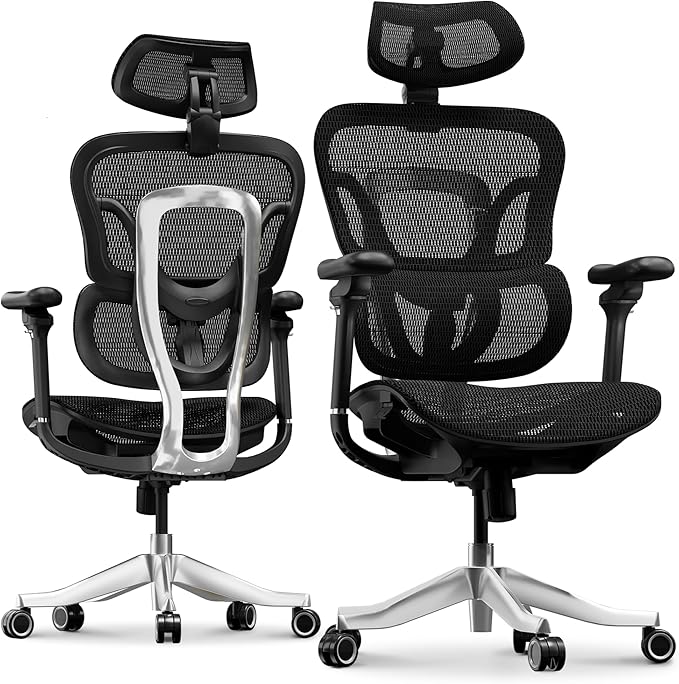 FLEXISPOT ErgoX Max Ergonomic Office Chair Black - Aluminum Alloy Frame & Base, 661 lb Capacity, 5D Armrests, 4D Adaptive Lumbar & 4D Headrest 1