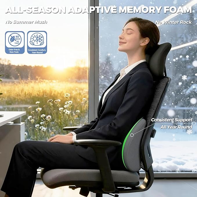 Lumbar Support Pillow for Office Chair & Car - All-Season Adaptive Memory Foam, Ergonomic Back Support for Lower Back Pain Relief, Stay-Put Non-Staining Silicone Grip (Gray)