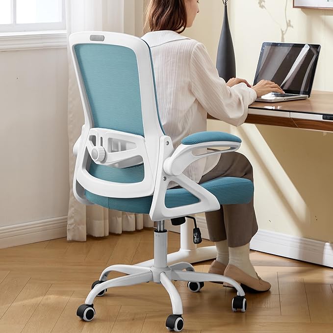 Ergonomic Office Chair, Desk Chair with Adjustable Lumbar Support, Breathable Mesh Comfy Computer Chairs with Flip-up Armrests Executive Task Chair for Adults Home Office (Lake Blue)