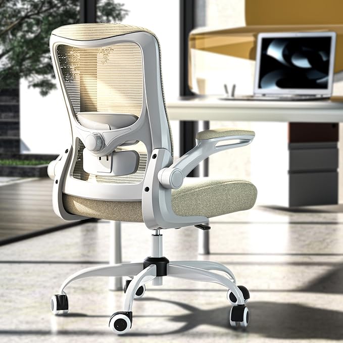 Ergonomic Office Chair - High Back Desk Chair with Adjustable Lumbar Support, Breathable Mesh Back, 330LBS Capacity, Easy Assembly, for Home Office Executive Computer Task