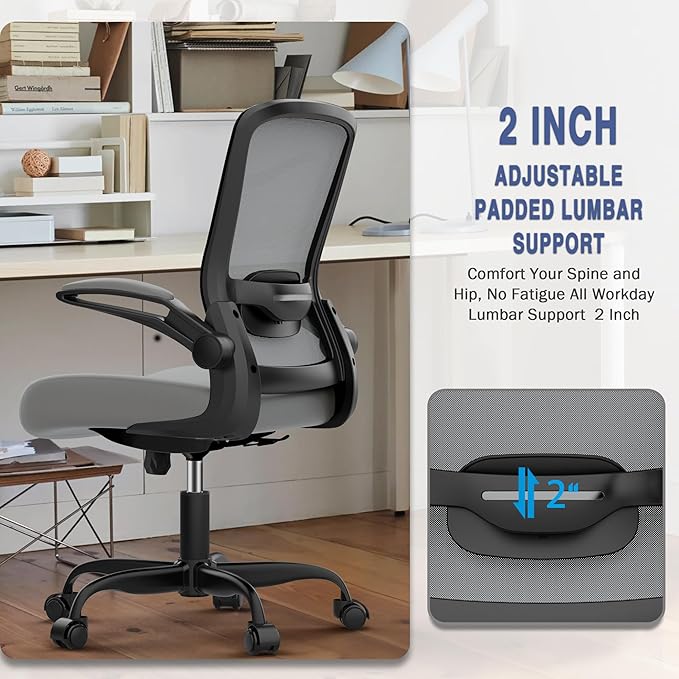 Mimoglad Home Office Desk Chair (Modern, Graphite)