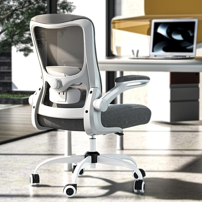 Ergonomic Office Chair - High Back Desk Chair with Adjustable Lumbar Support, Breathable Mesh Back, 330LBS Capacity, Easy Assembly, for Home Office Executive Computer Task