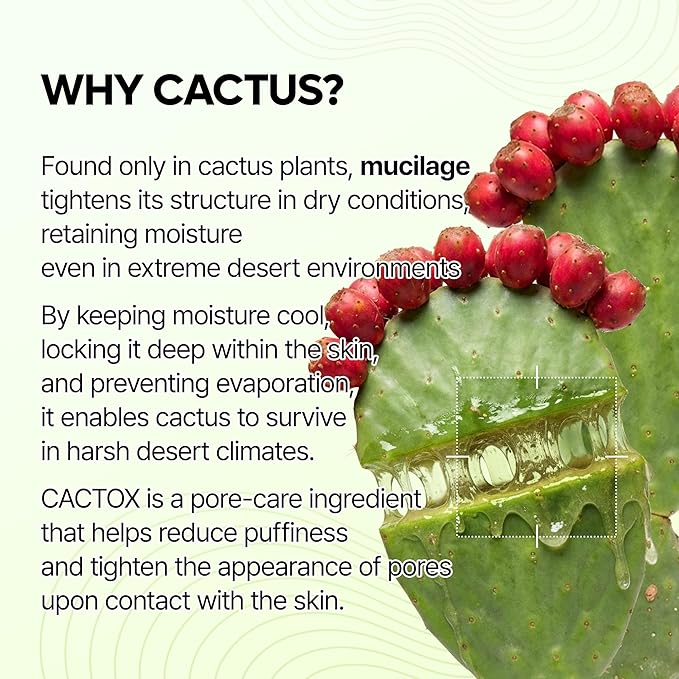 Dr.Melaxin Cactox Pore Relief Jelly Serum Mist, Instant Cooling Face Mist for Pore Tightening & De-Puffing, Hydrating Cactus Serum for Puffy Skin, 80ml (2.7 fl oz)