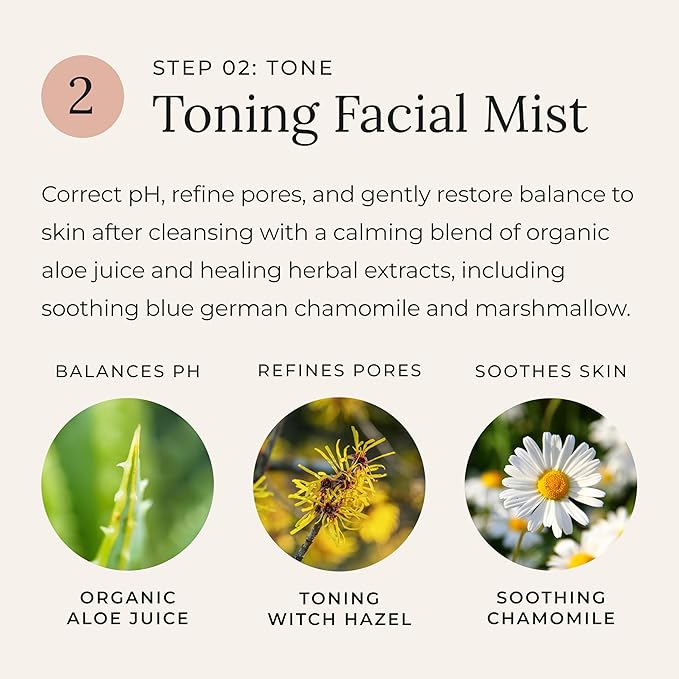 Little Seed Farm Matcha & Argan Bundle - Moisturizer + Soap + Elasticity Serum + Facial Mist Toner