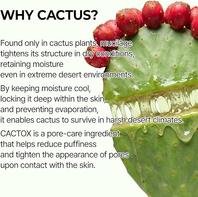 Dr. Melaxin Cactox Pore Relief Jelly Toner Pads, Cooling & De-Puffing Toner Pads for Enlarged Pores, Hydrating Cactus Gel Pads for Puffy Skin, 170ml (60 Pads)