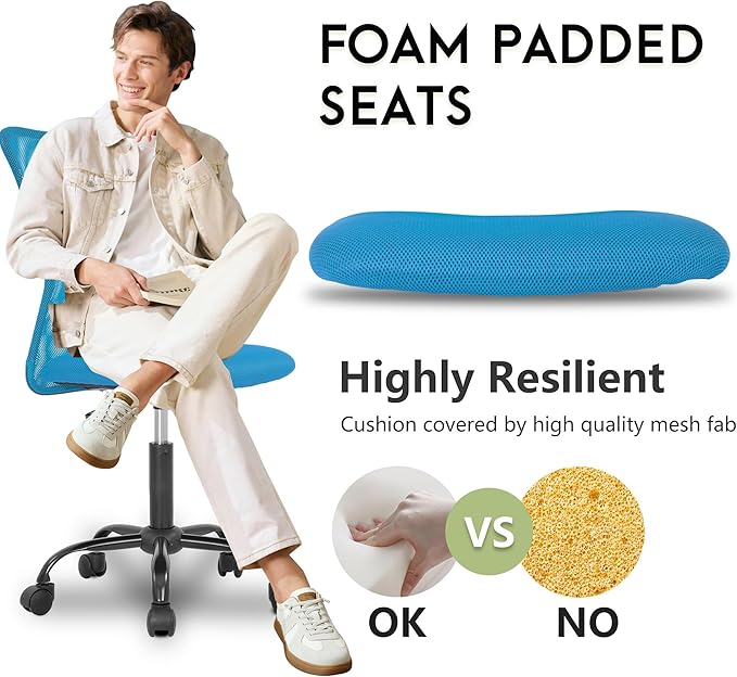 BestOffice Ergonomic Office Chair Desk Chair Mesh Computer Chair Armless Back Support Modern Executive Rolling Swivel Chair with Lumbar Support（Blue）