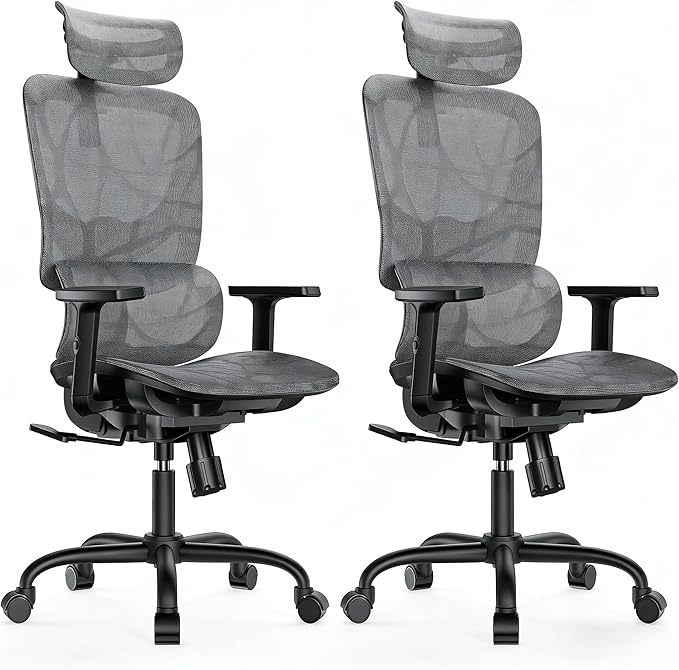 HUANUO Ergonomic Mesh Office Chair with 5-Level Lumbar Support, Computer Gaming Chair with Adjustable Headrest & Armrests, Rocking Tilt, Comfortable High Back Desk Chair for Home Office,2 Pack