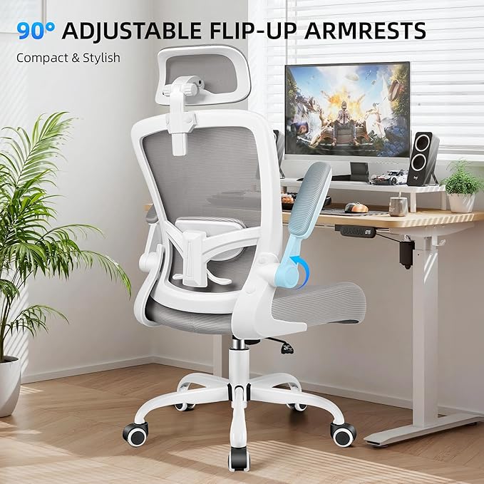FelixKing Office Chair, Desk Chair with Adjustable Lumbar Support, Ergonomic Computer Chair with High Back and Armrest, Adjustable Height Gaming Chair Home Office Swivel Chair(Gray)