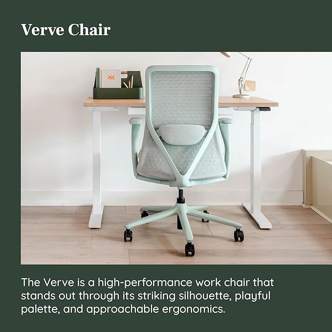 Branch Verve Chair - High Performance Executive Office Chair with Contoured Back and Adjustable Lumbar Support - High Density Foam Cushion and 3D Knit Back - Fits 5' to 6', Up to 275 lbs, Mint