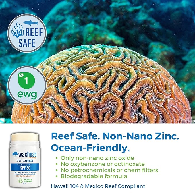 Non-Nano Zinc Oxide Sunscreen Paste + Stick Bundle