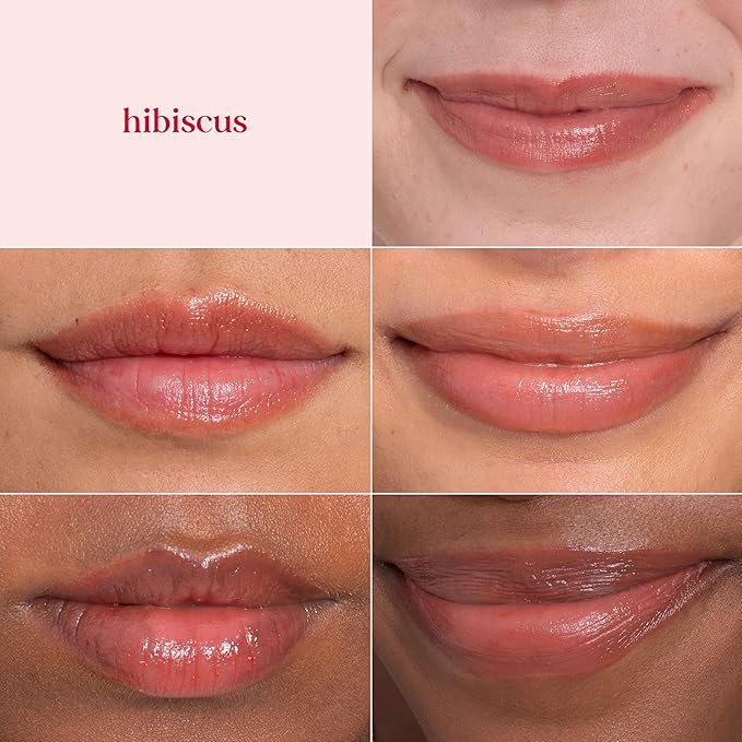 Burt's Bees Lip Tint Balm, Long Lasting 2 in 1 Duo Tinted Balm Formula, Color Infused with Hydrating Shea Butter for a Natural Looking Buildable Finish, Hibiscus, 1 Tube