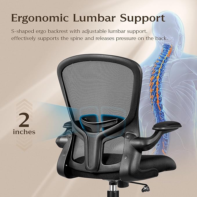 FelixKing Office Desk Chairs, Ergonomic PC Desk Chair with Wheels, Adjustable Lumbar Support and Height, Swivel Computer Chair with Flip-up Armrests, Ergo Mesh Backrest for Working (Black, Pack of 2)