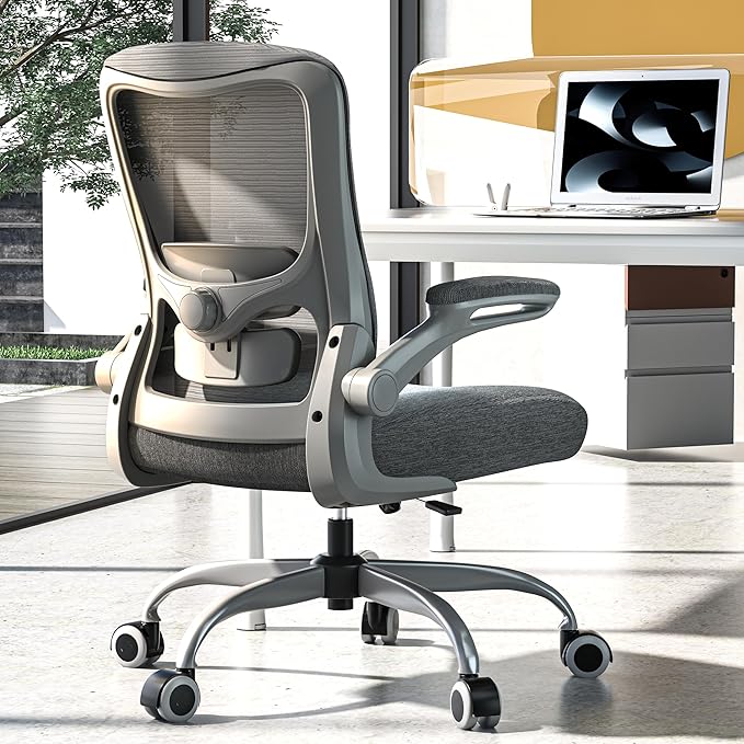 Ergonomic Office Chair - High Back Desk Chair with Adjustable Lumbar Support, Breathable Mesh Back, 330LBS Capacity, Easy Assembly, for Home Office Executive Computer Task