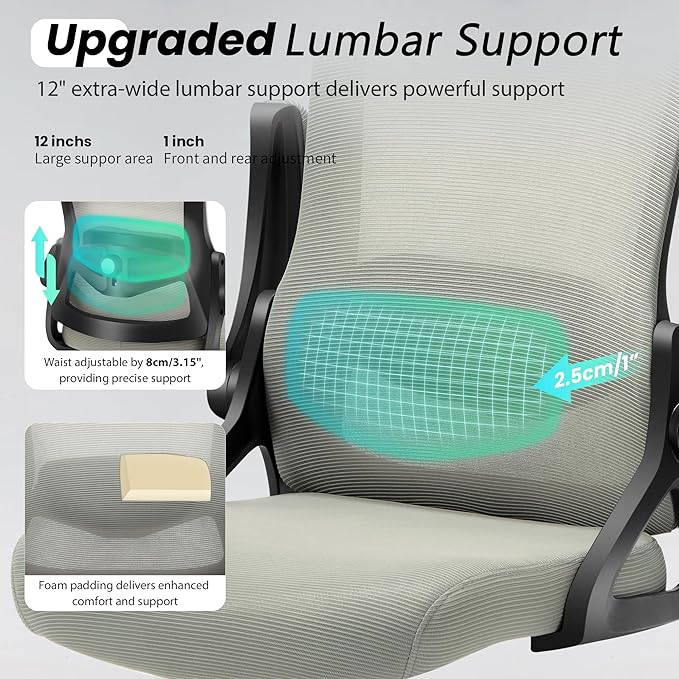 Fizzin Ergonomic Office Chair, 400 LBS Computer Chairs with Adjustable Lumbar Support, Breathable Mesh Desk Chair Ergonomic with Thickened Cushion, Comfy Home Office Desk Chair (Dark Gray)