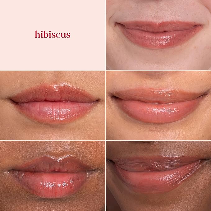 Burt's Bees Lip Tint Balm Valentines Day Gifts with Long Lasting 2 in 1 Duo Tinted Balm Formula, Color Infused with Deeply Hydrating Shea Butter for a Natural Looking Buildable Finish, Soft Hibiscus (2-Pack)